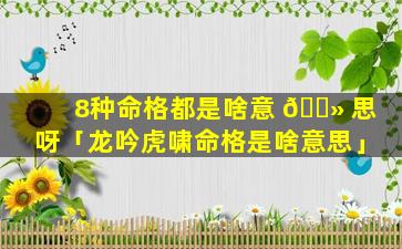 8种命格都是啥意 🌻 思呀「龙吟虎啸命格是啥意思」